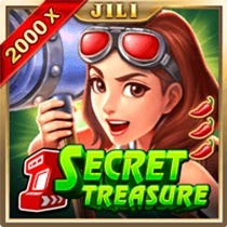 SecretTreasure